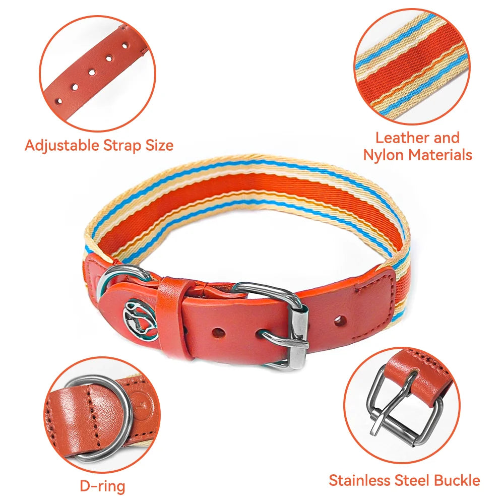 ZhejiangDog Adjustable Dog Collar And Leash Set For All