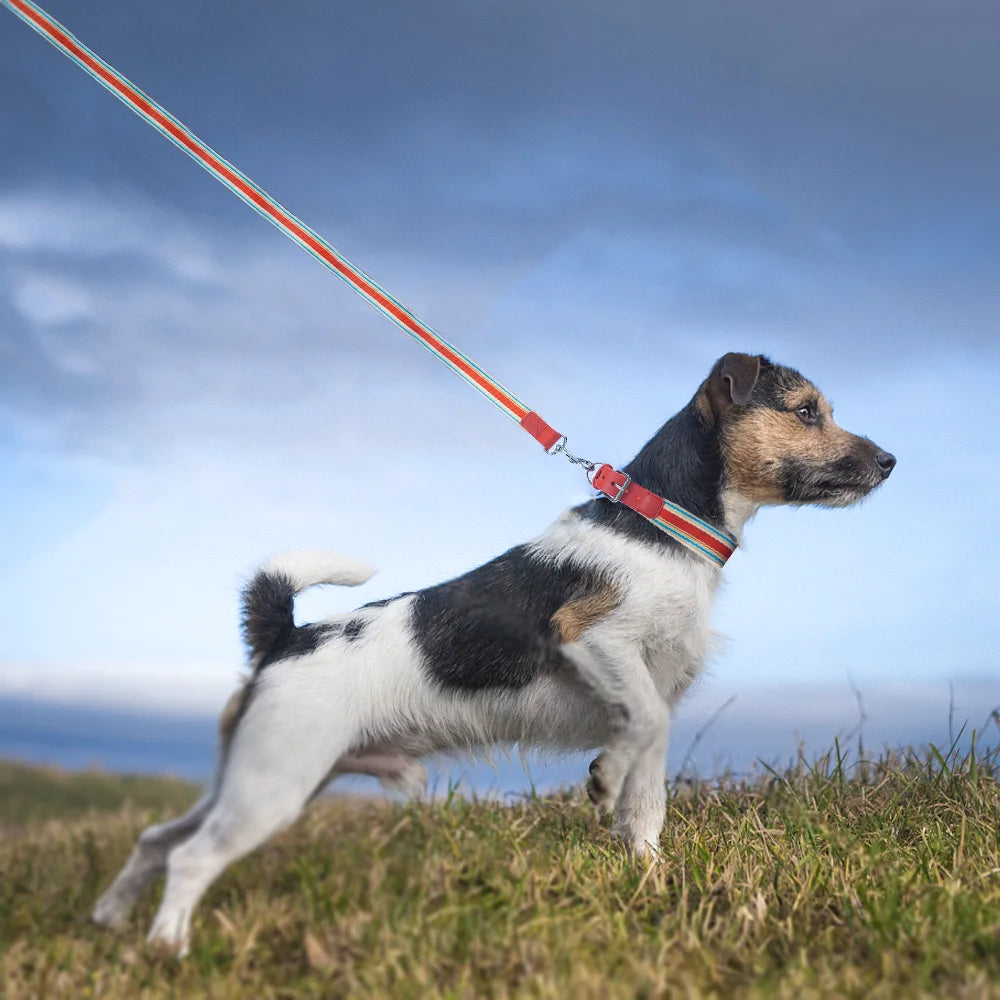 ZhejiangDog Adjustable Dog Collar And Leash Set For All