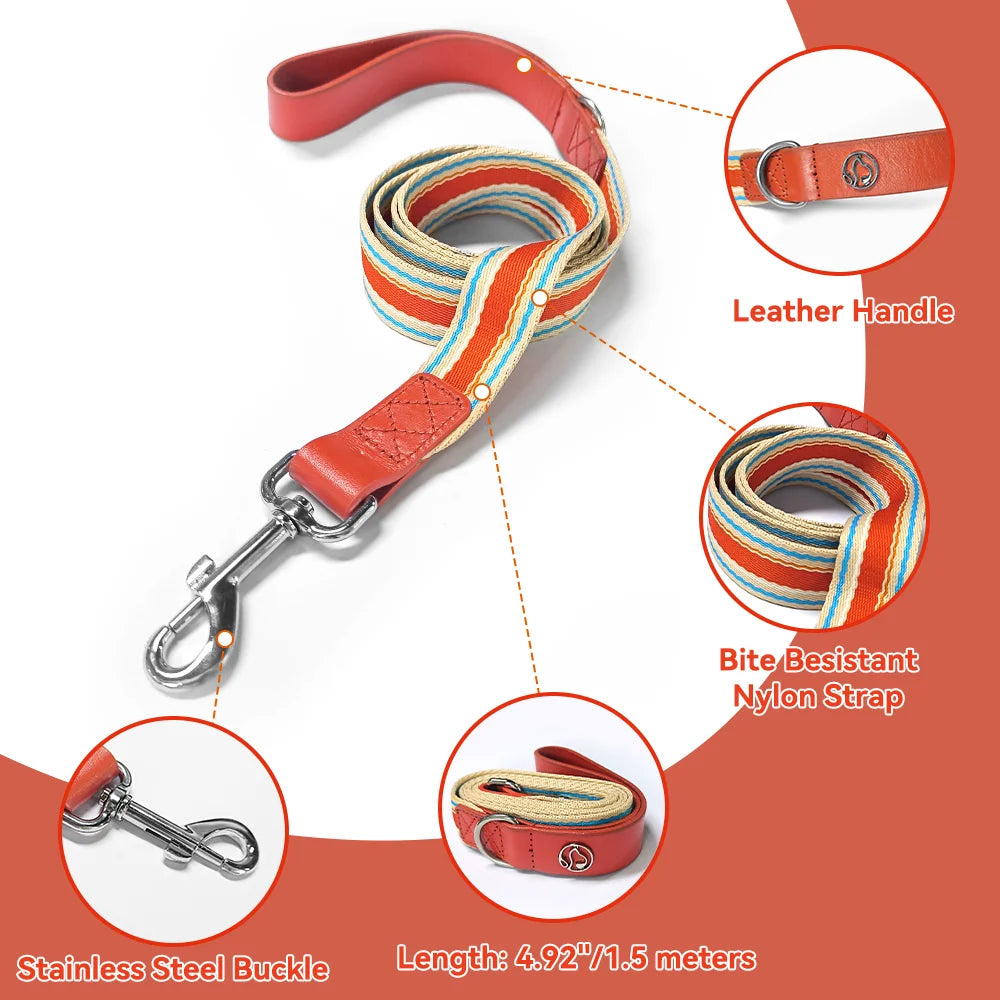 ZhejiangDog Adjustable Dog Collar And Leash Set For All