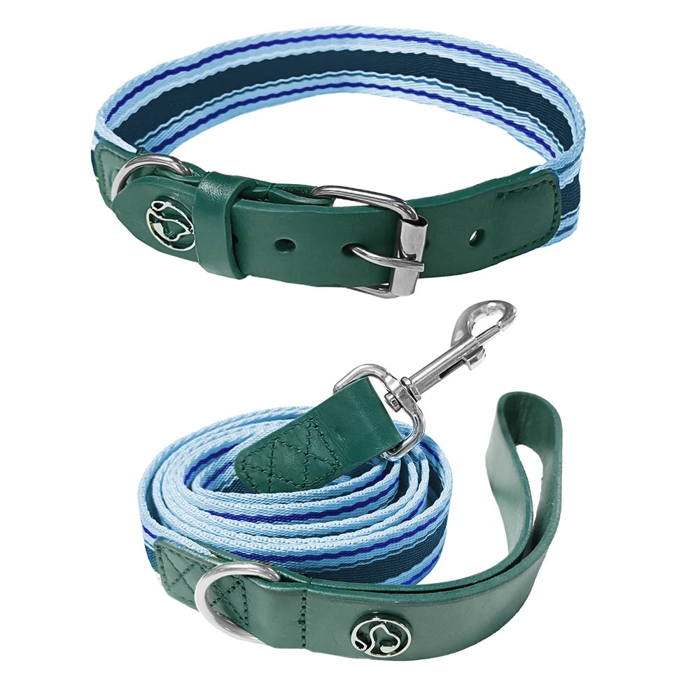 ZhejiangDog Adjustable Dog Collar And Leash Set For All