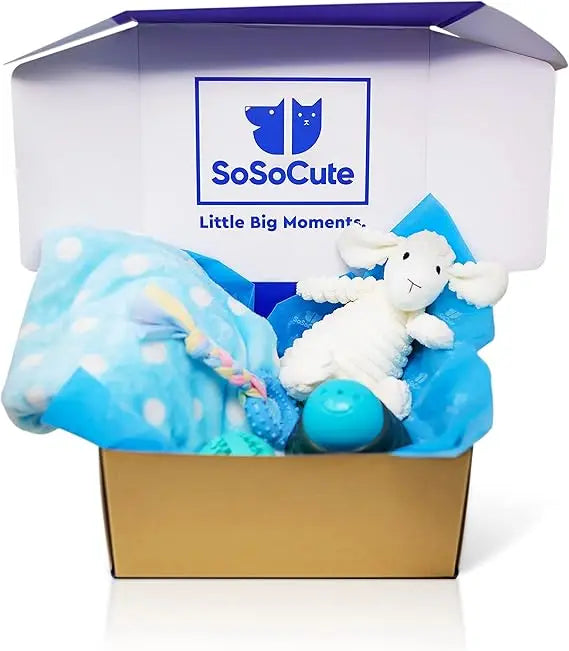 Hign Concerned Puppy Teething Toy Gift Box With Blanket