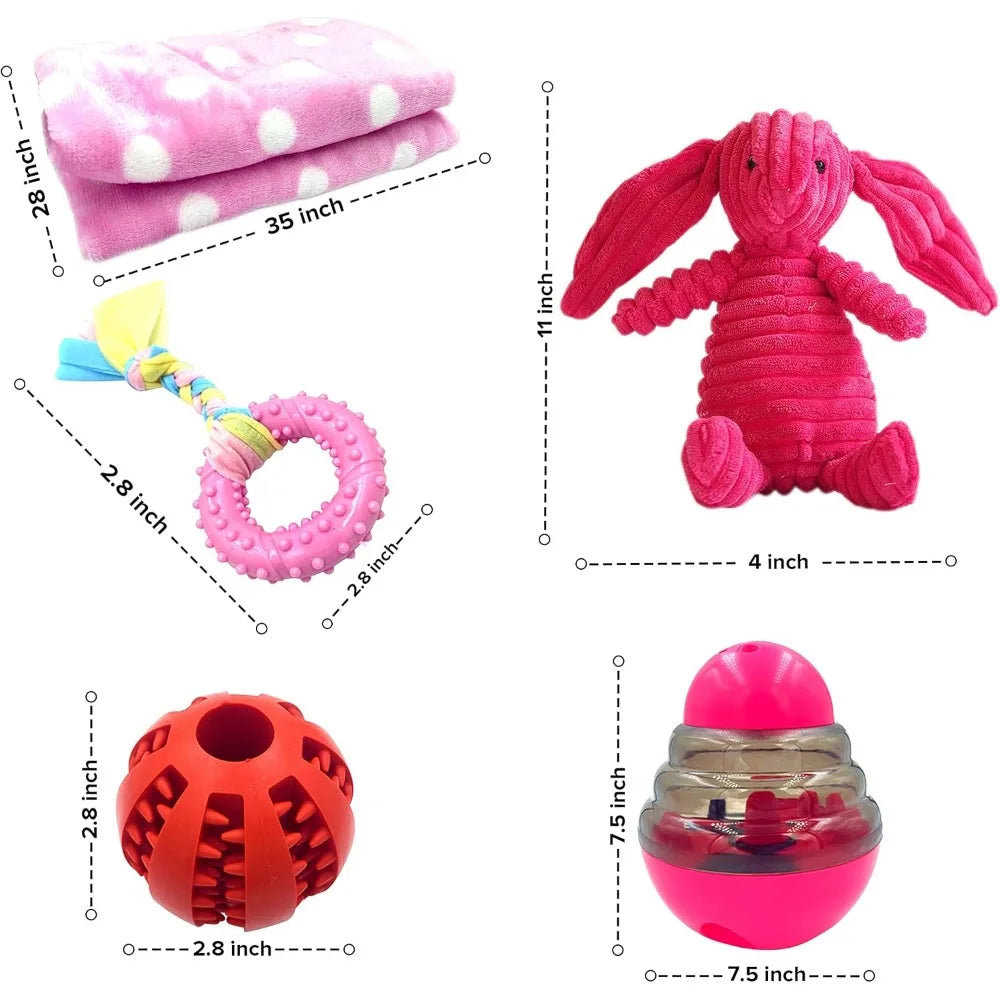 Hign Concerned Puppy Teething Toy Gift Box With Blanket