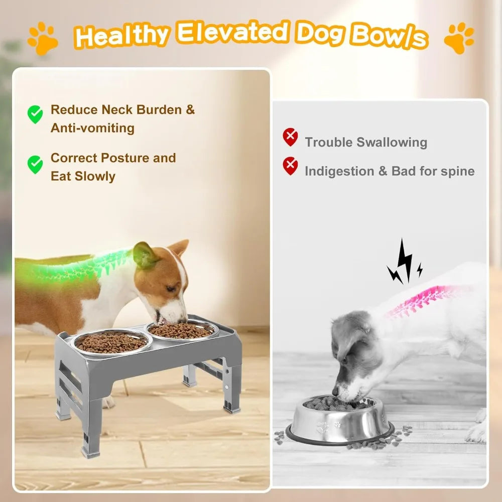 Hignconcerned Dog Bowl Stand With Two Stainless Bowls