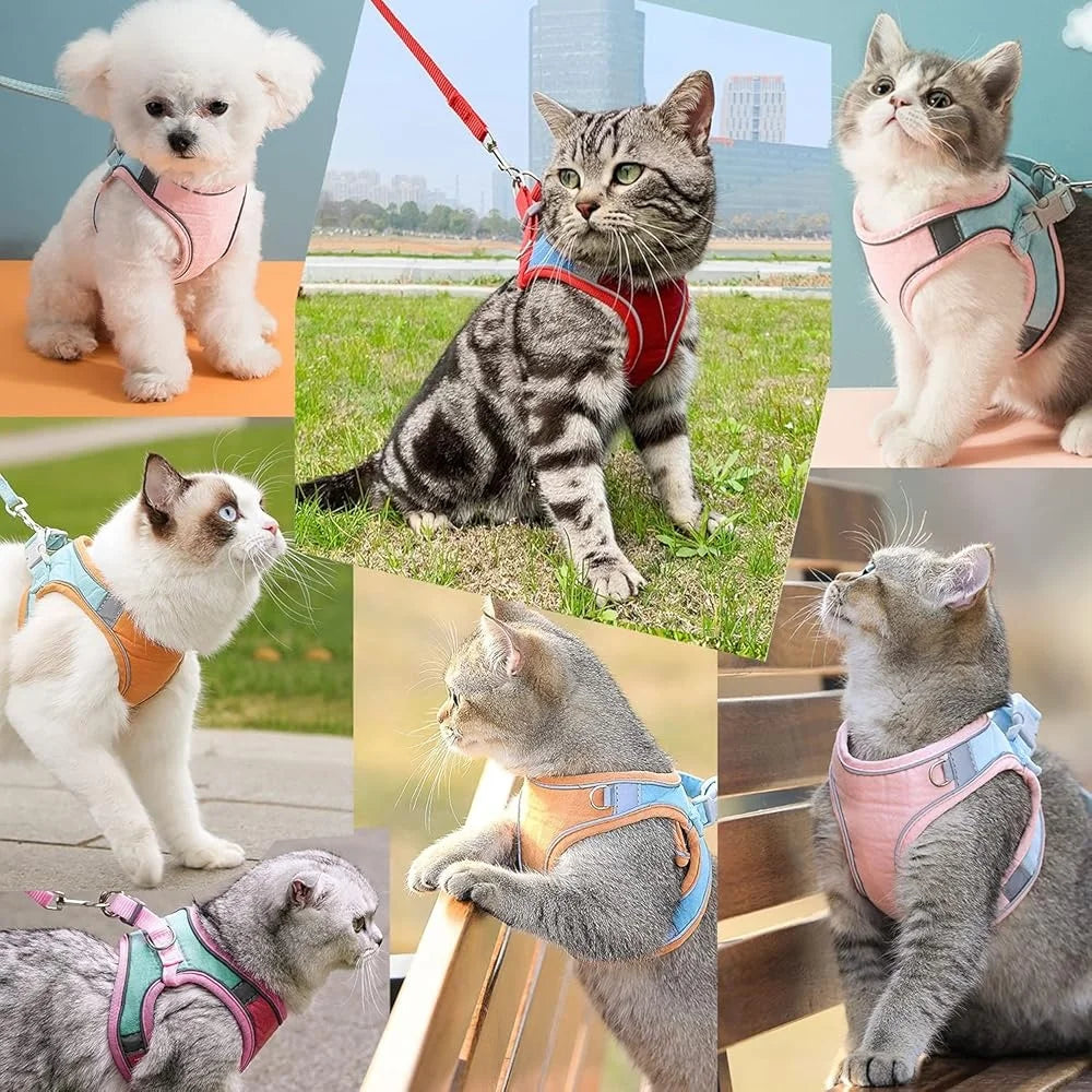 DUTRIEUX Escape Proof Cat Harness Leash Set Reflective Vest