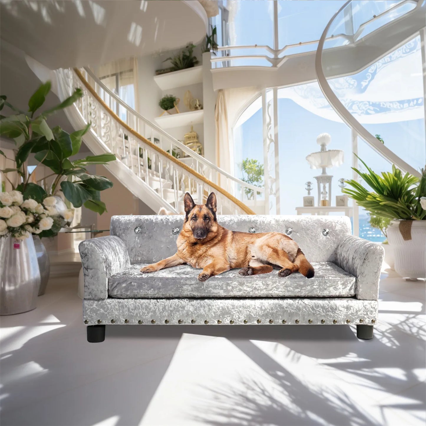 BingoPaw Deluxe Tufted Elevated Dog Sofa Bed Memory Foam