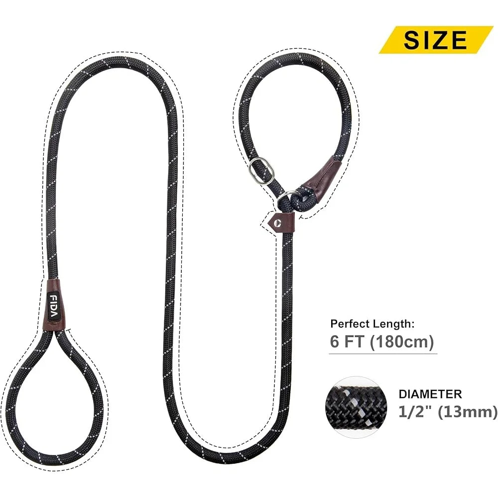 Fujian Durable Slip Lead Nylon Dog Leash Reflective
