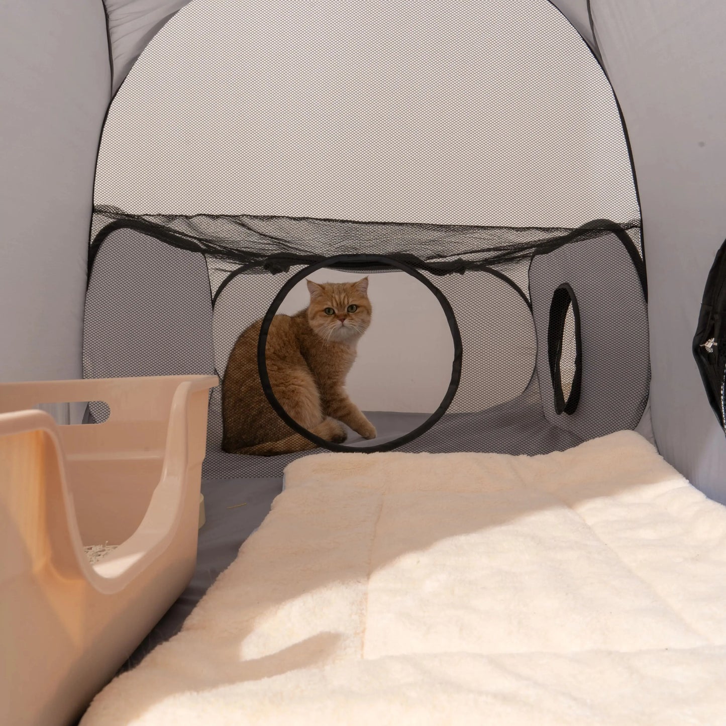 Foldable Oxford Cloth Pets Nest With Play Tunnel Cats Dogs