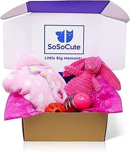 Hign Concerned Puppy Teething Toy Gift Box With Blanket