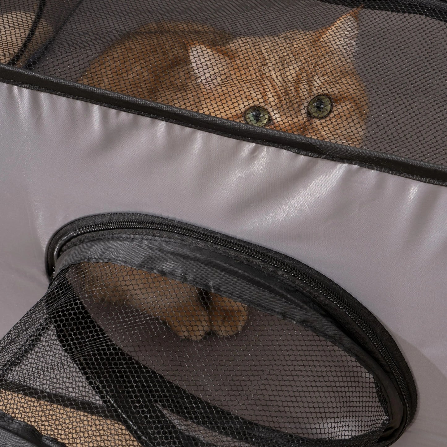 Foldable Oxford Cloth Pets Nest With Play Tunnel Cats Dogs