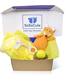 Hign Concerned Puppy Teething Toy Gift Box With Blanket