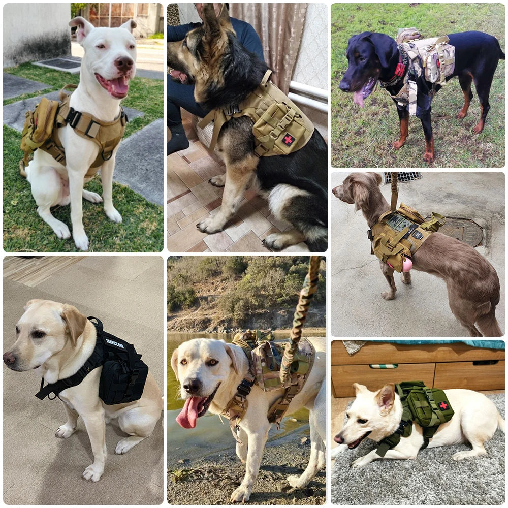 PETRAVELCN Military Dog Harness Vest Leash Set for Training
