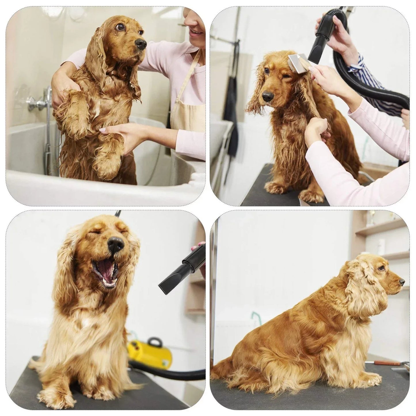 CeMax Dog Hair Dryer Pet Grooming Blower With Heat Options