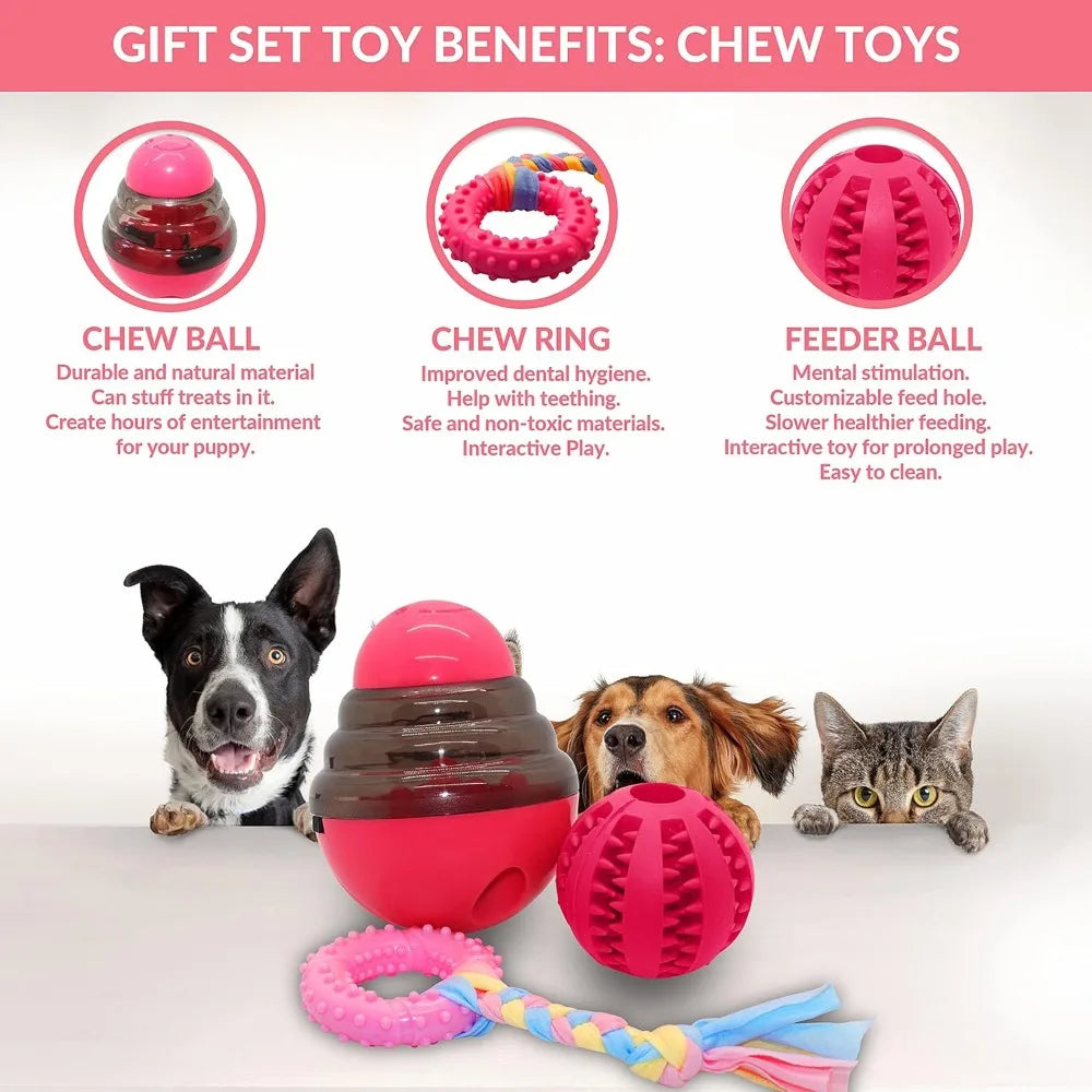 Hign Concerned Puppy Teething Toy Gift Box With Blanket