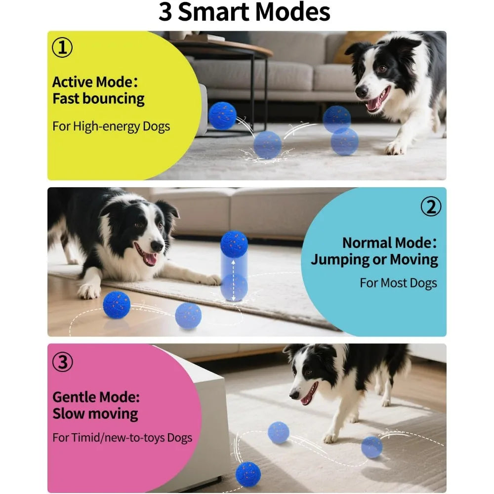 Hignconcerned SCHITEC Smart Interactive Dog Ball Toy
