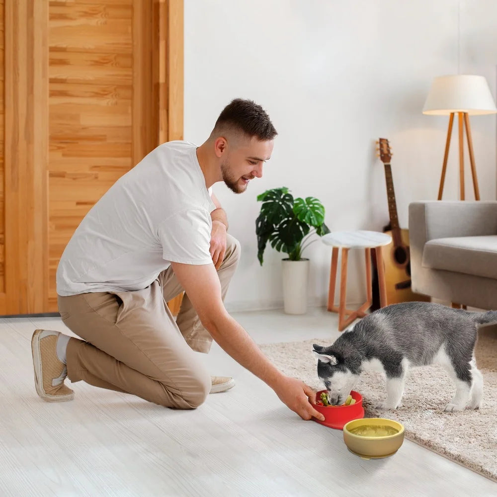 XMSJ Strawberry Shaped Silicone Pet Bowl Suction Base