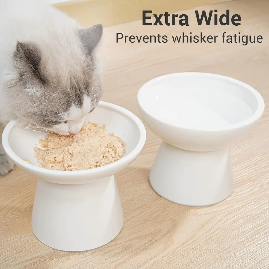 Hign-concerned Elevated Ceramic Cat Bowls For Food Water