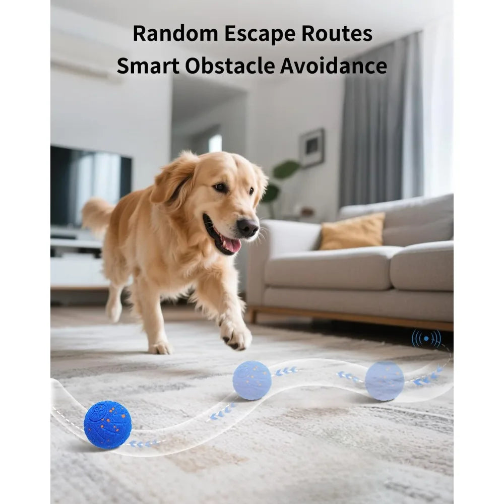 Hignconcerned SCHITEC Smart Interactive Dog Ball Toy