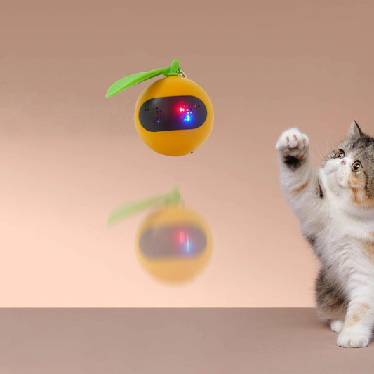 CN Sichuan Interactive Cat Toy LED Ball Feather Bell