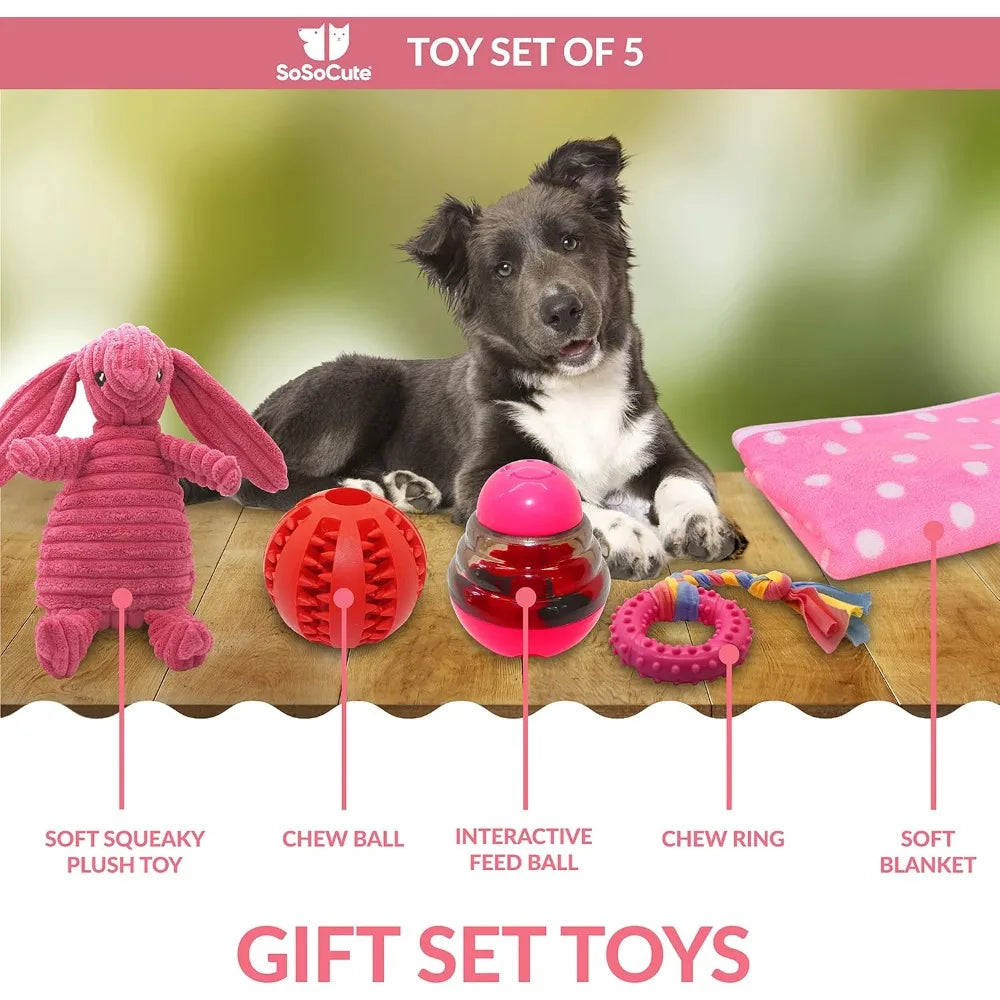 Hign Concerned Puppy Teething Toy Gift Box With Blanket