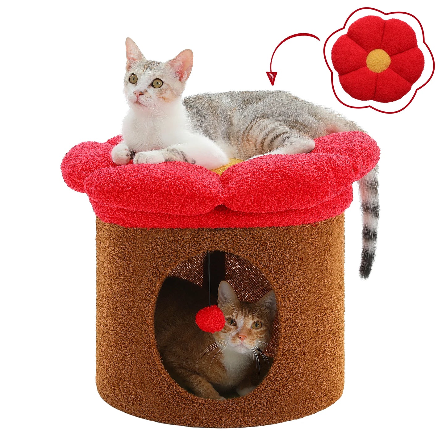 PAWZ Road Cat Beds Indoor House With Removable Flower Bed