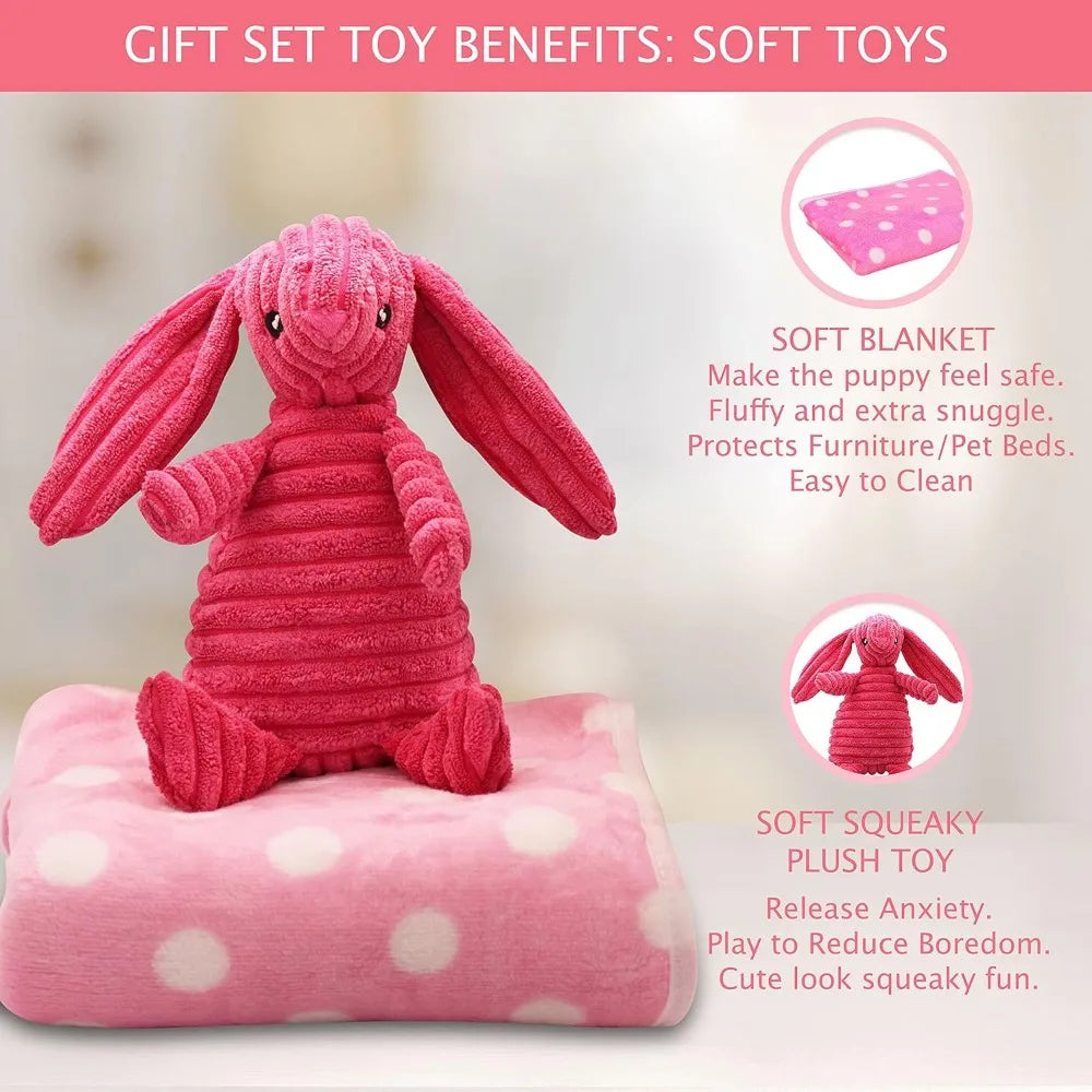 Hign Concerned Puppy Teething Toy Gift Box With Blanket