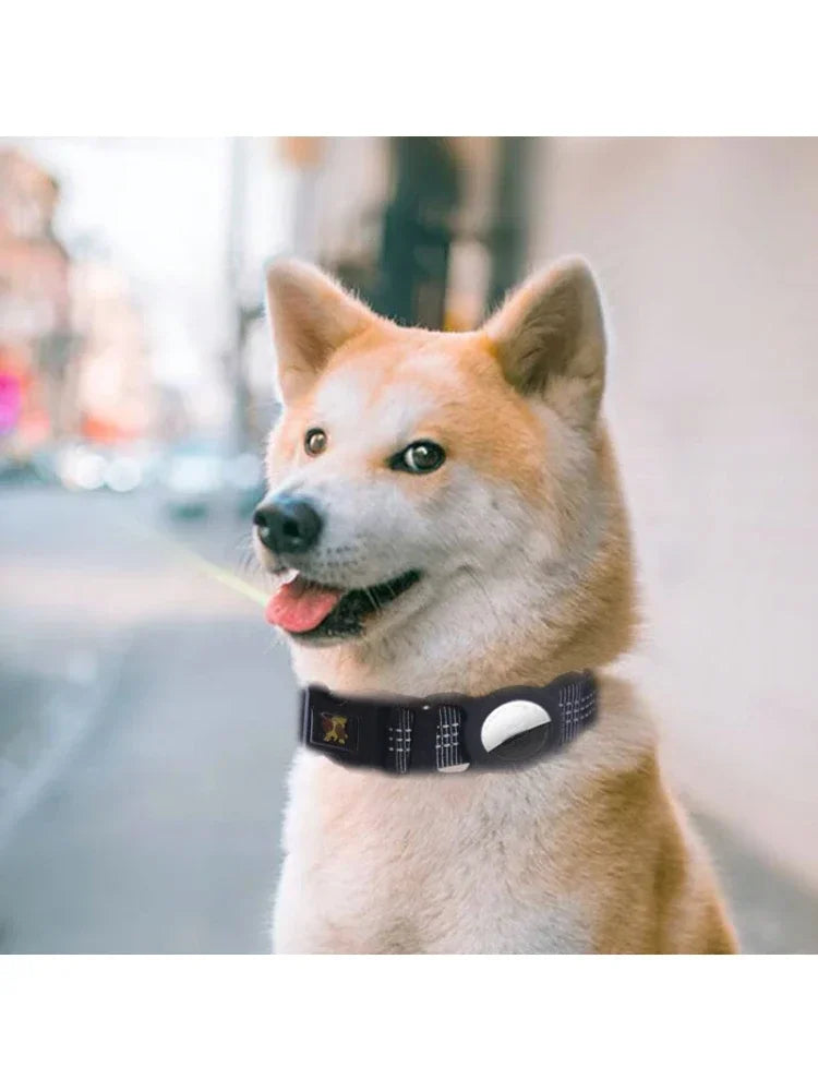 Guangdong AirTag Dog Collar Reflective Nylon Tracking