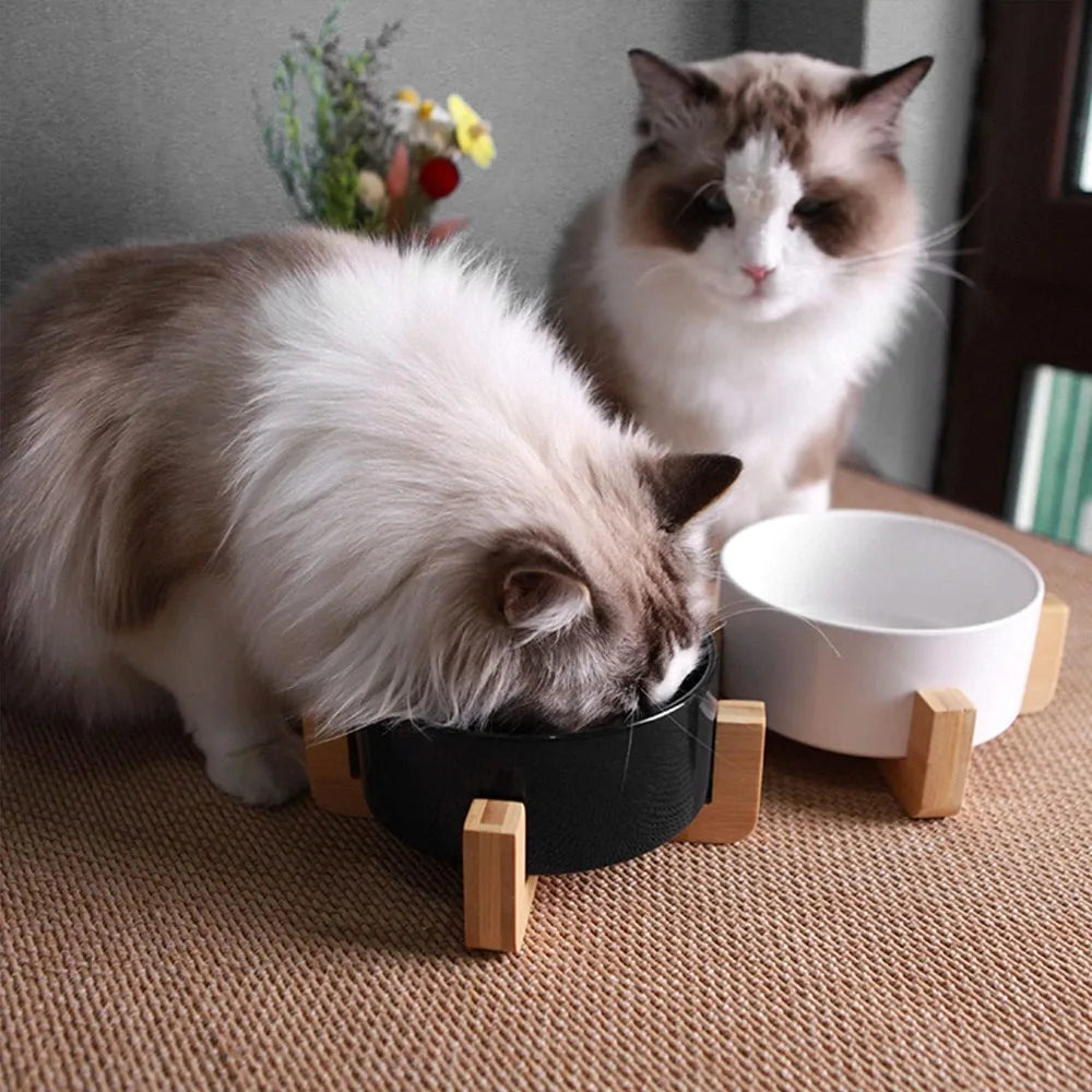 Hignconcerned Chemical Ceramic Pet Bowls With Stand Set