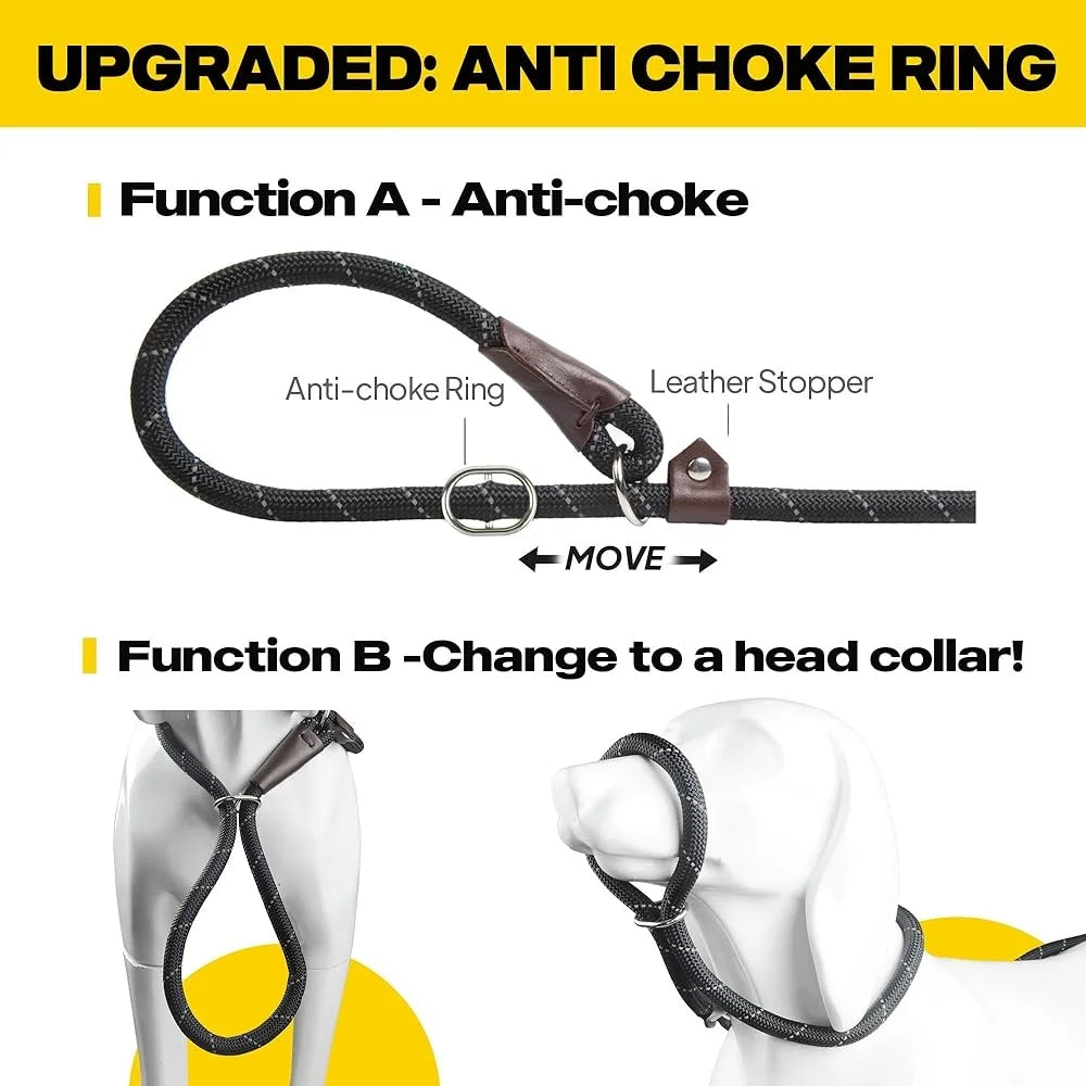 Fujian Durable Slip Lead Nylon Dog Leash Reflective