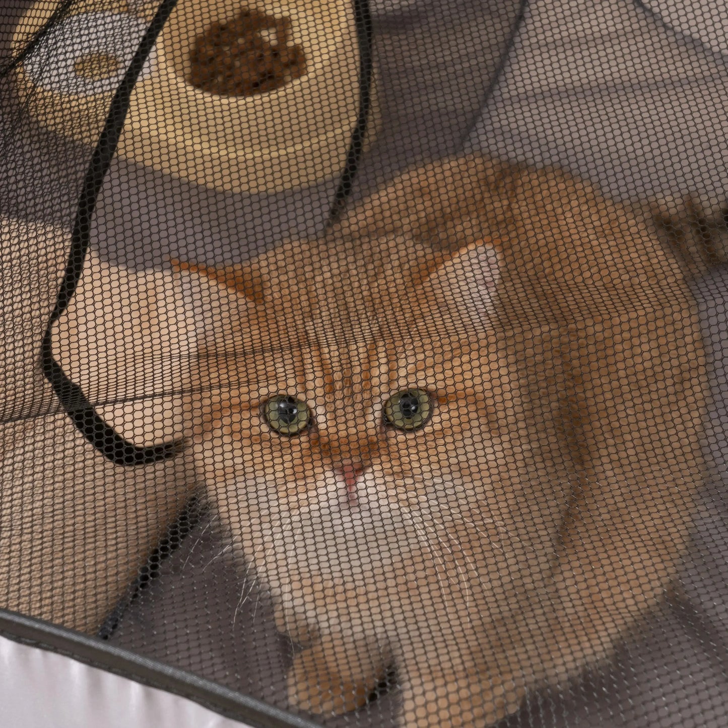 Foldable Oxford Cloth Pets Nest With Play Tunnel Cats Dogs