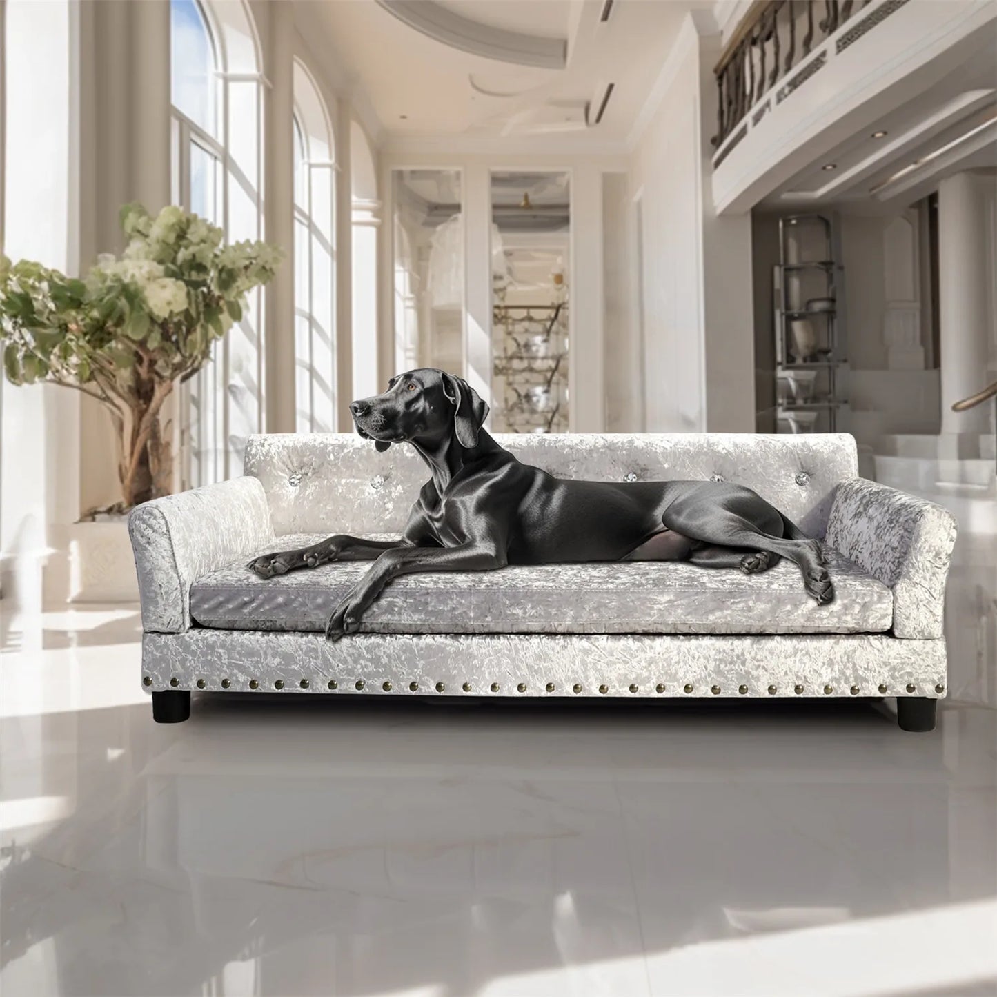BingoPaw Deluxe Tufted Elevated Dog Sofa Bed Memory Foam