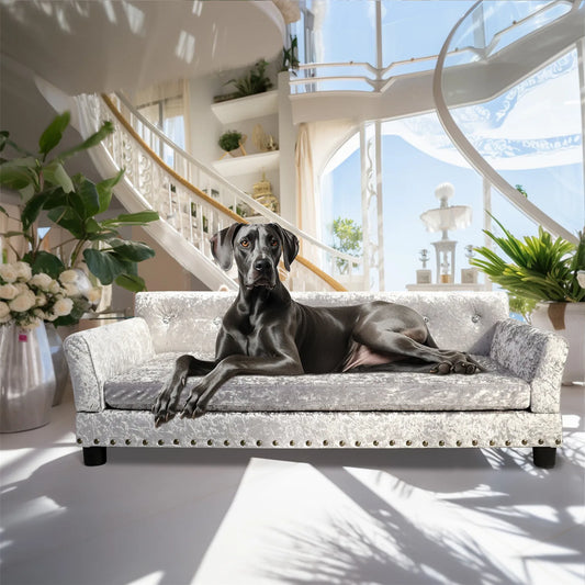 BingoPaw Deluxe Tufted Elevated Dog Sofa Bed Memory Foam
