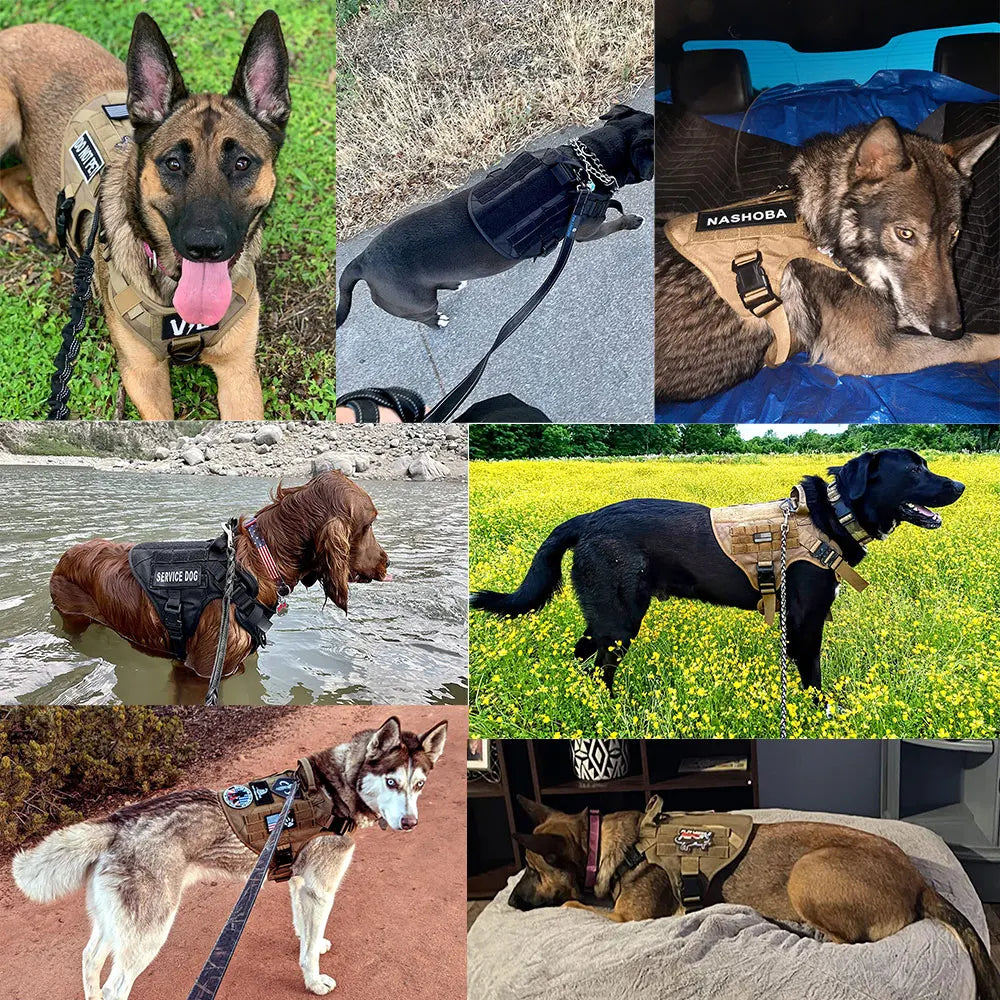Petravelcn Military Large Dog Harness Vest Training Patches