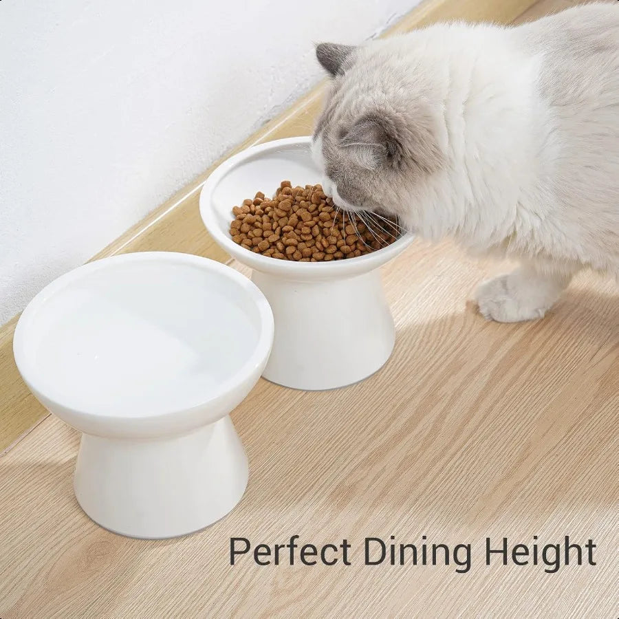 Hign-concerned Elevated Ceramic Cat Bowls For Food Water