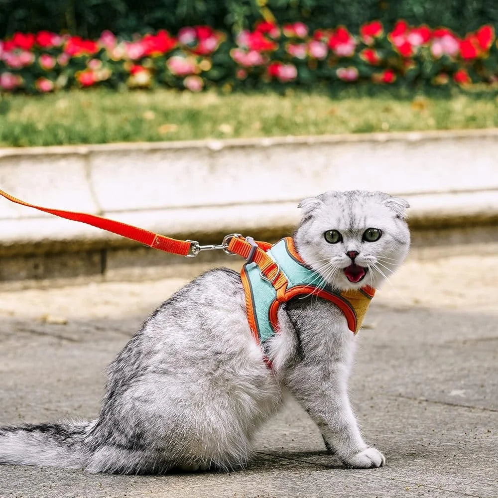 DUTRIEUX Escape Proof Cat Harness Leash Set Reflective Vest