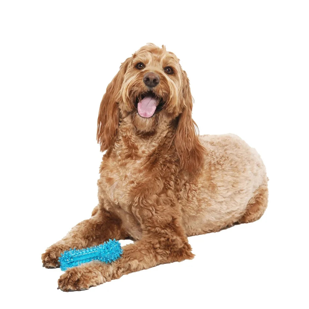 Hign-concerned Spiky Bone Dog Toy Chew Level 3 Durable TPR