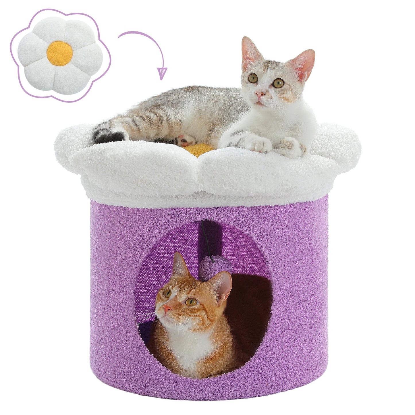 PAWZ Road Cat Beds Indoor House With Removable Flower Bed
