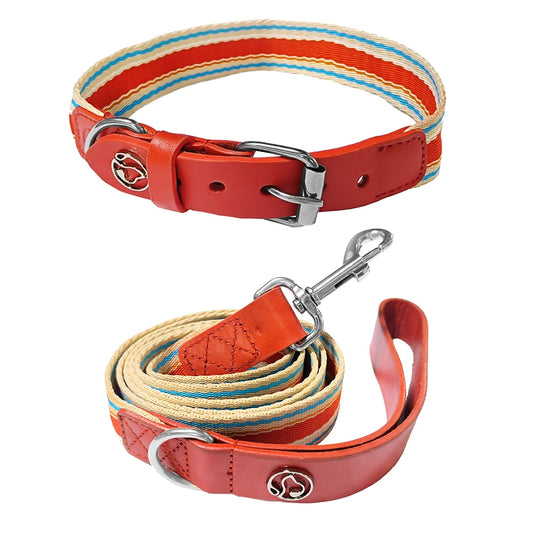ZhejiangDog Adjustable Dog Collar And Leash Set For All